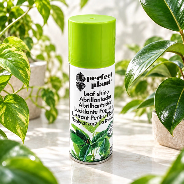 Augalų lapų blizgiklis „perfect plant“ 200 ml