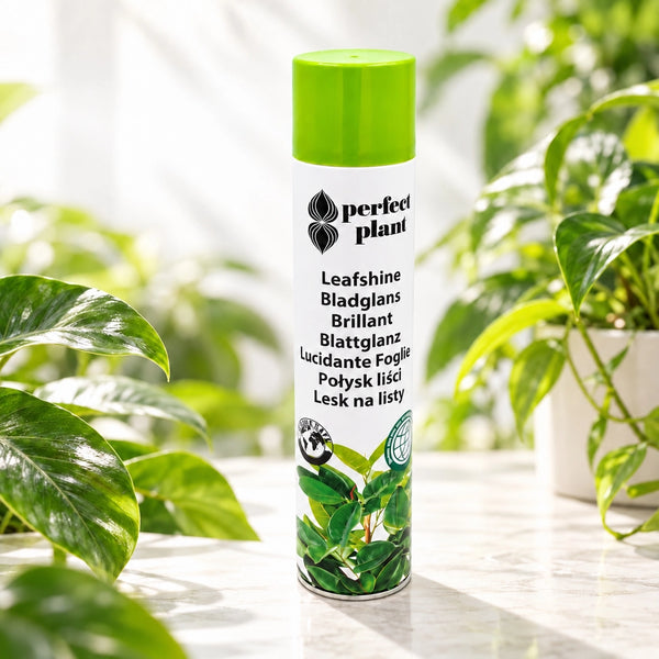Augalų lapų blizgiklis „perfect plant“ 750ml