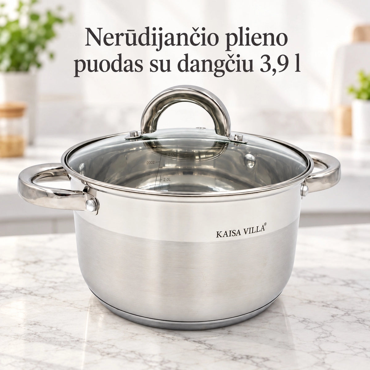 Puodas su stikliniu dangčiu 3,9 l