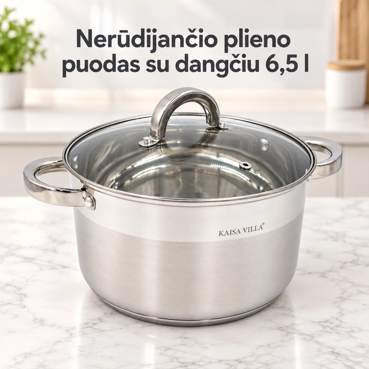 Puodas su stikliniu dangčiu 6,5 l